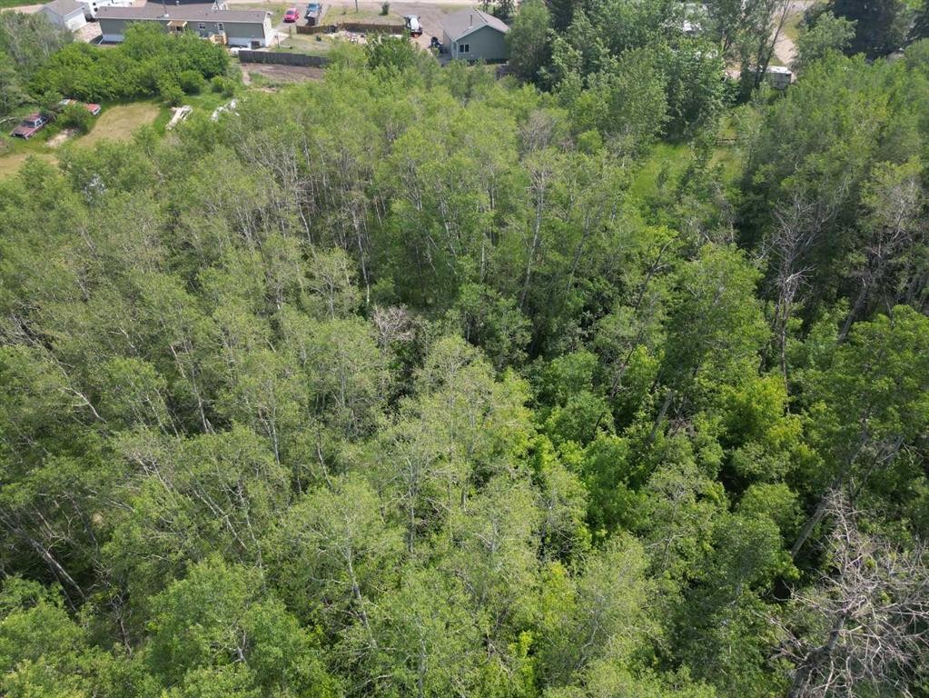 









5303


48

Street,
Alix,







AB
T0C0B0

