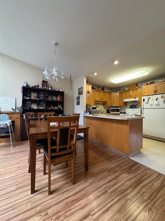 









4919


56

Street,
Camrose,




AB
T4V 2C6


