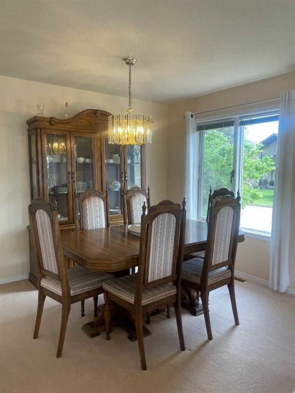 









5203


45

Street,
Consort,




AB
t0c 1b0

