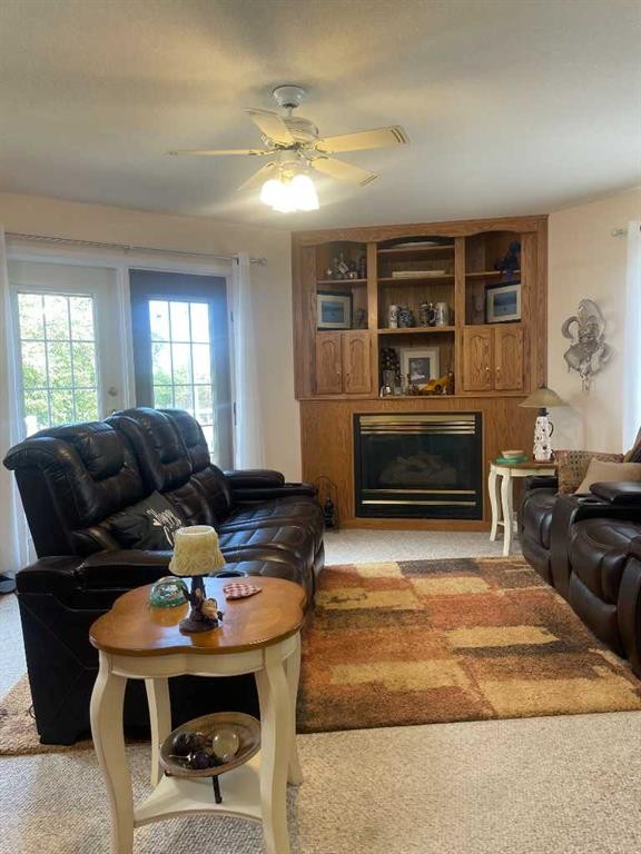 









5203


45

Street,
Consort,




AB
t0c 1b0


