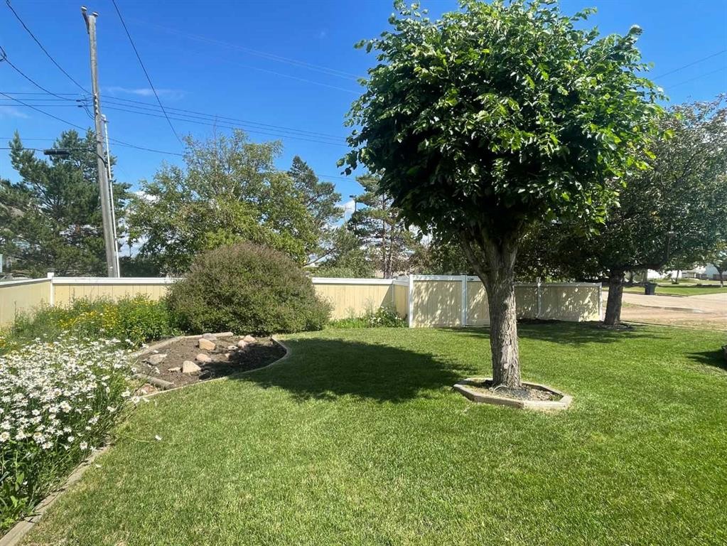 









5203


45

Street,
Consort,




AB
t0c 1b0


