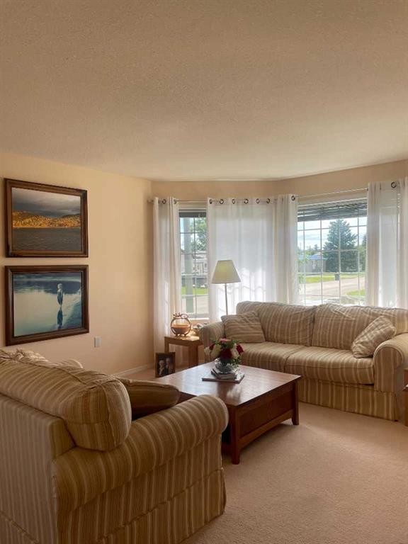 









5203


45

Street,
Consort,




AB
t0c 1b0

