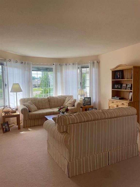 









5203


45

Street,
Consort,




AB
t0c 1b0

