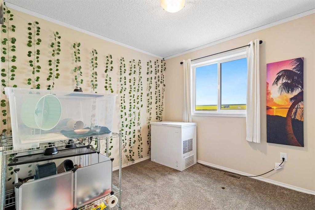 









335044


Range Road 244

,
Rural Kneehill County,




AB
T0M 2C0

