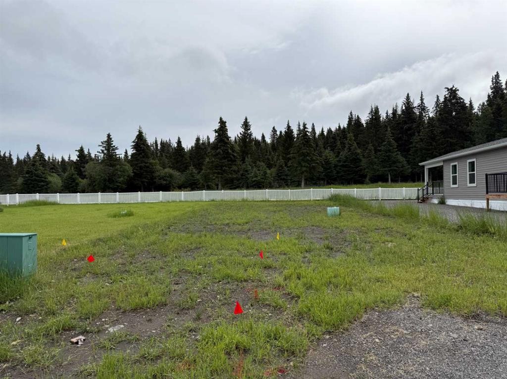 









709


Shale

Court,
Nordegg,







AB
T0M 2H0

