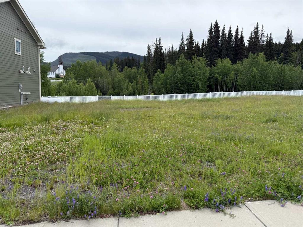 









339


Elizabeth

Avenue,
Nordegg,







AB
T0M 2H0

