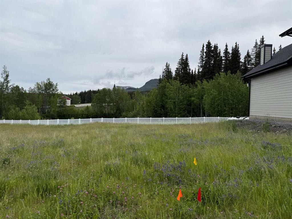 









347


Elizabeth

Avenue,
Nordegg,







AB
T0M 2H0

