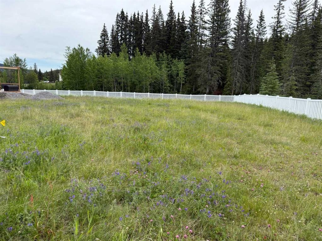 









359


Elizabeth

Avenue,
Nordegg,







AB
T0M 2H0

