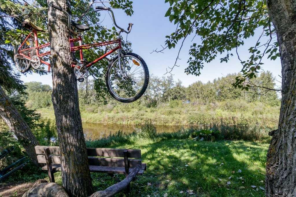 









54


Johnson

Avenue,
Markerville,




AB
T0M 1M0

