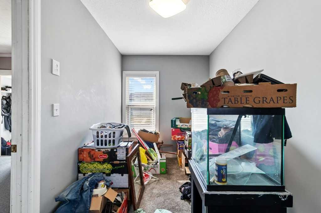 









5630


56

Street,
Red Deer,




AB
T4N 2K5


