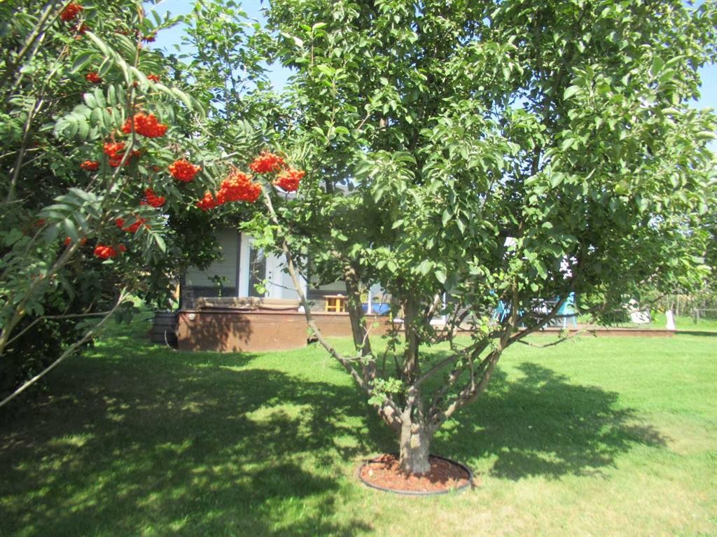 









2230


Rainy Creek Road

,
Rural Lacombe County,




AB
T0C 0J0


