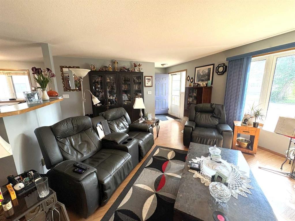 









5007


46

Avenue,
Forestburg,




AB
T0B 1N0

