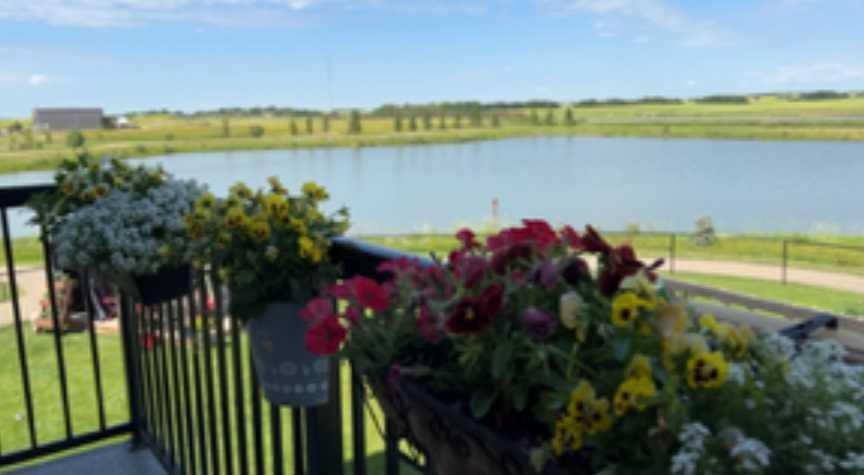 









6802


50

Avenue, 20,
Camrose,




AB
T4V 5C7

