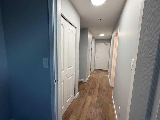 









41


Bennett

Street, 306,
Red Deer,




AB
T4R 1V4

