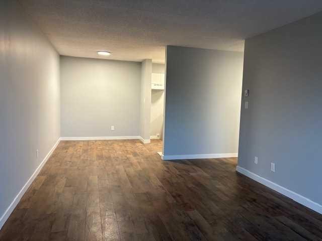 









41


Bennett

Street, 306,
Red Deer,




AB
T4R 1V4


