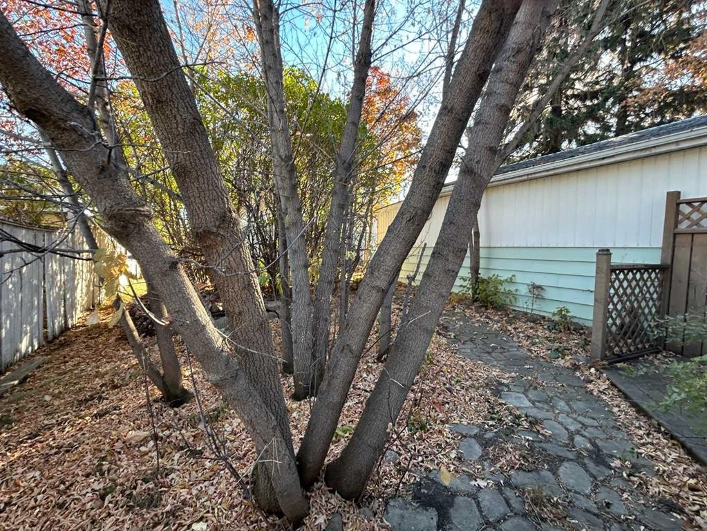 









4516


46

Street,
Camrose,




AB
T4V 1G1

