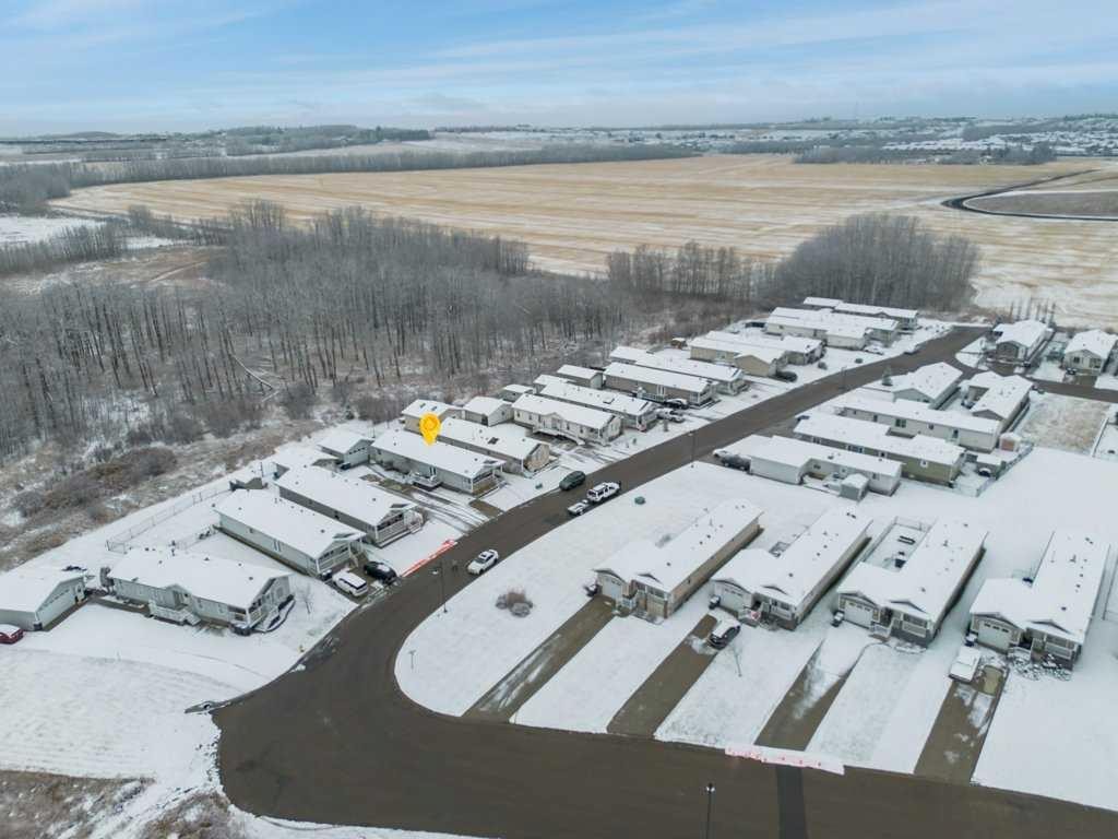 









7


Baywood

Link,
Sylvan Lake,




AB
T4S 0A8

