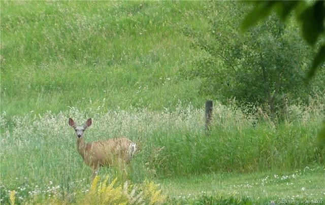 









420069


Range Road 284

, 1,
Rural Ponoka County,







AB
T4J 1R3

