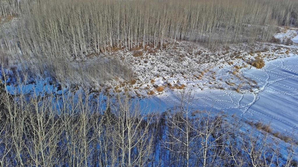 









Lot 13


Range Road 14

,
Rimbey,







AB
T0C 2J0

