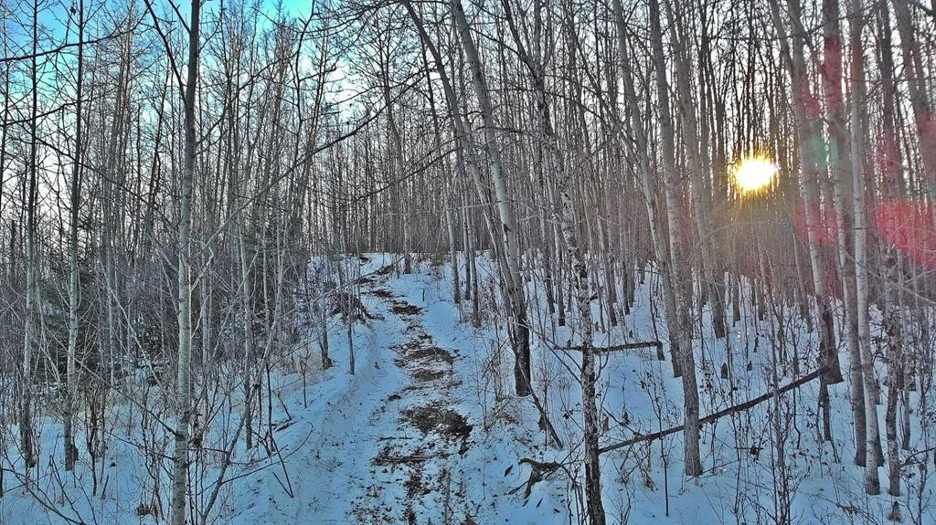 









Lot 13


Range Road 14

,
Rimbey,







AB
T0C 2J0

