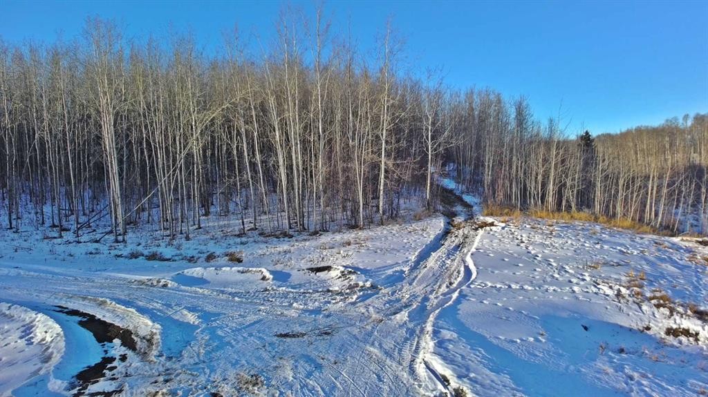 









Lot 13


Range Road 14

,
Rimbey,







AB
T0C 2J0

