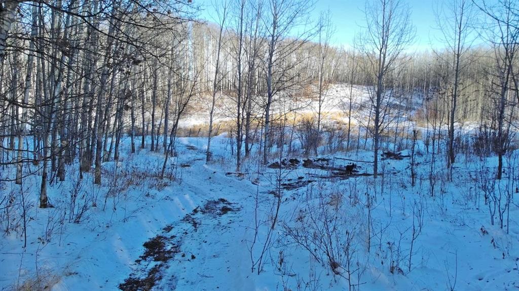 









Lot 13


Range Road 14

,
Rimbey,







AB
T0C 2J0

