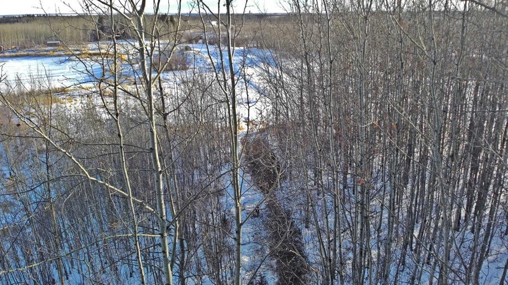 









Lot 13


Range Road 14

,
Rimbey,







AB
T0C 2J0

