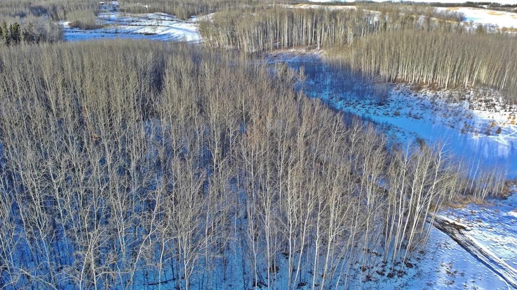 









Lot 13


Range Road 14

,
Rimbey,







AB
T0C 2J0

