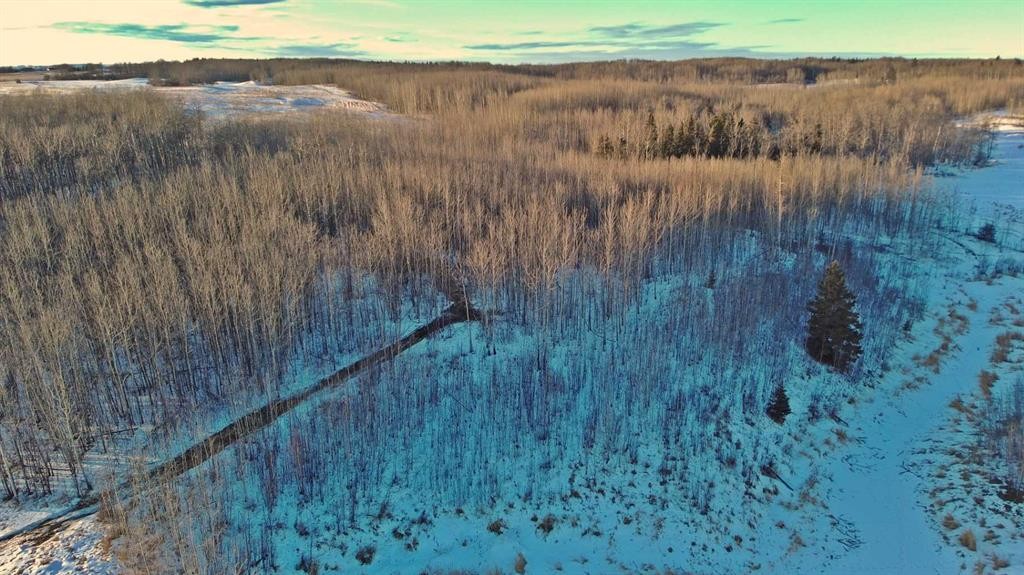 









Lot 13


Range Road 14

,
Rimbey,







AB
T0C 2J0

