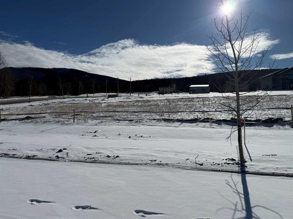 









405


LILY

Avenue,
Nordegg,







AB
T0M 2H0

