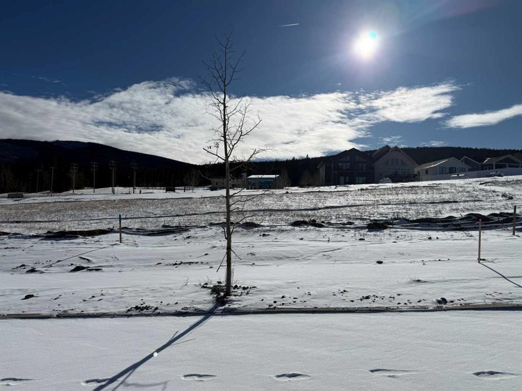 









413


LILY

Avenue,
Nordegg,







AB
T0M 2H0

