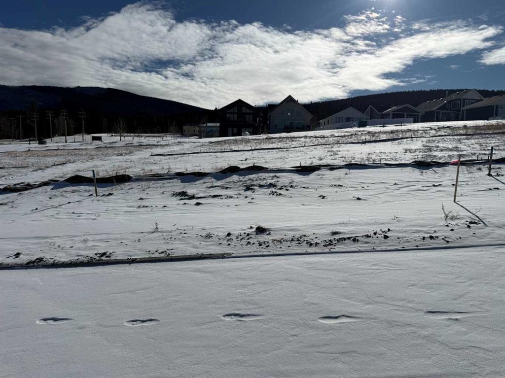 









421


LILY

Avenue,
Nordegg,







AB
T0M 2H0

