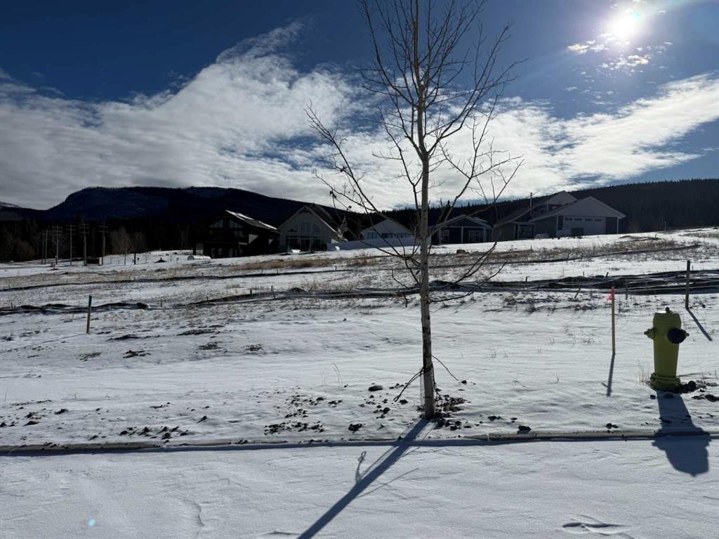 









429


LILY

Avenue,
Nordegg,







AB
T0M 2H0

