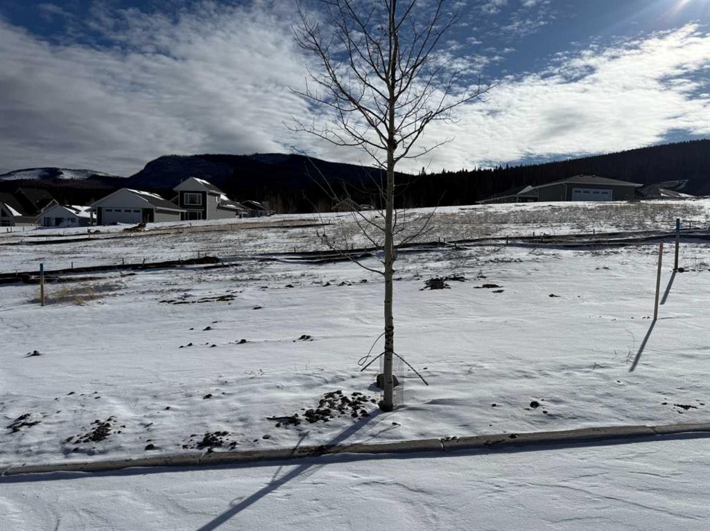 









449


LILY

Avenue,
Nordegg,







AB
T0M 2H0

