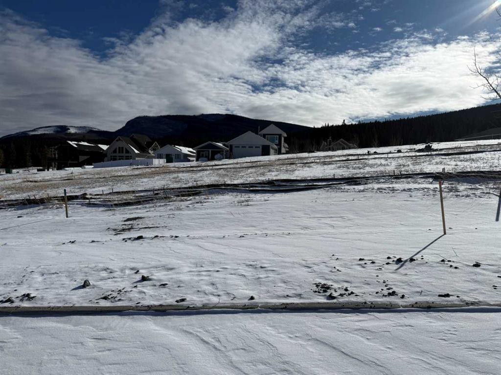 









441


LILY

Avenue,
Nordegg,







AB
T0M 2H0

