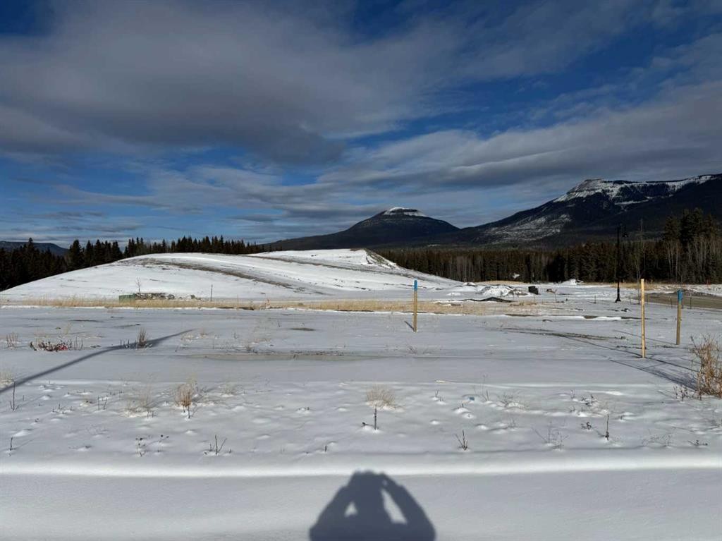 









404


LILY

Avenue,
Nordegg,







AB
T0M 2H0

