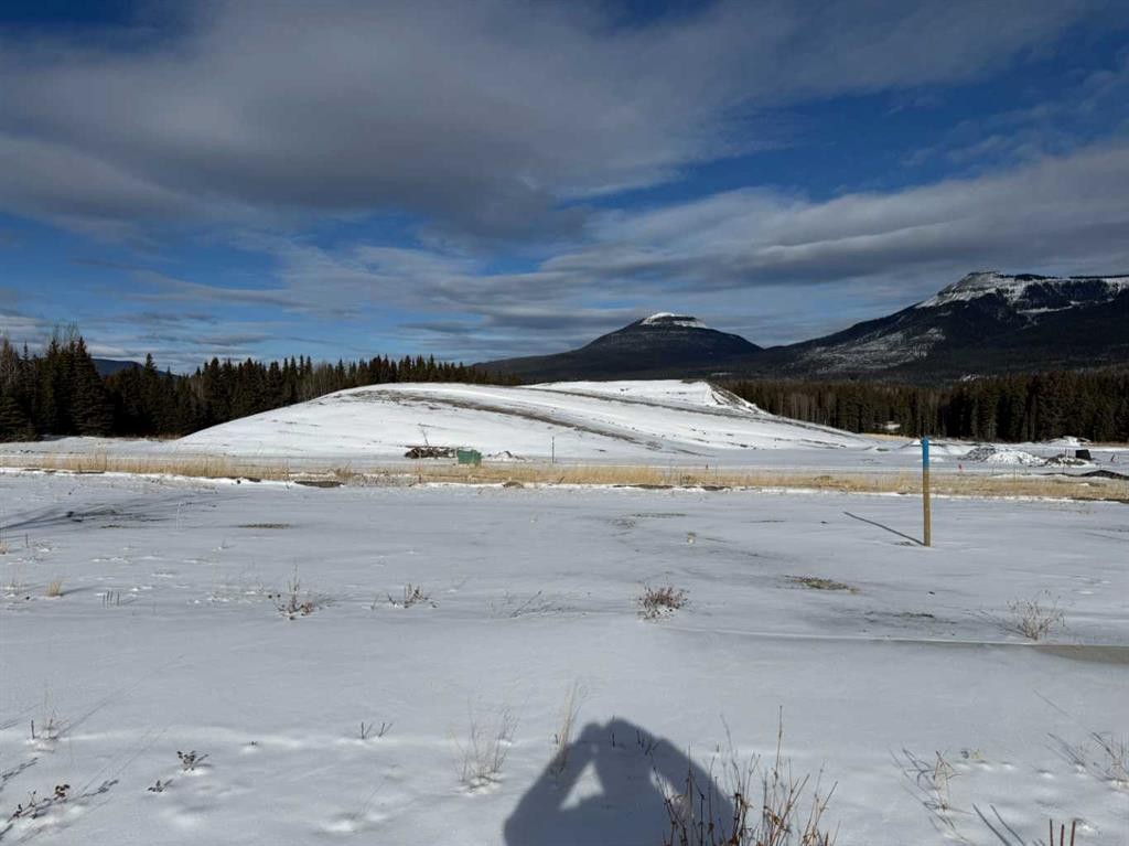 









408


LILY

Avenue,
Nordegg,







AB
T0M 2H0

