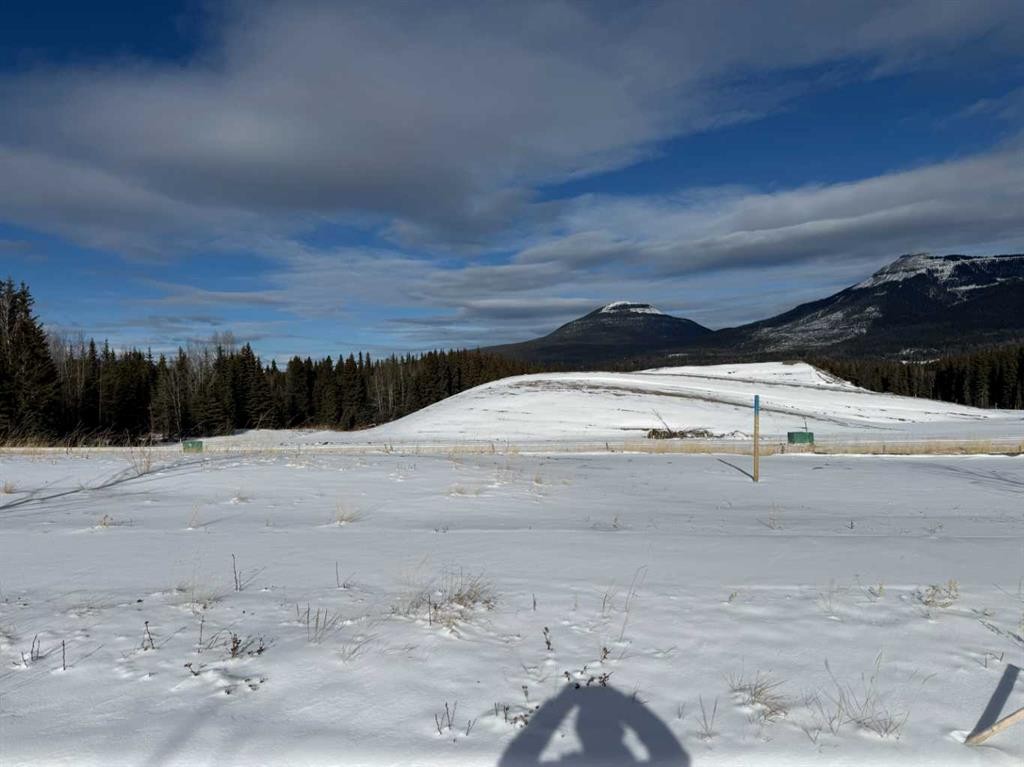 









416


LILY

Avenue,
Nordegg,







AB
T0M 2H0

