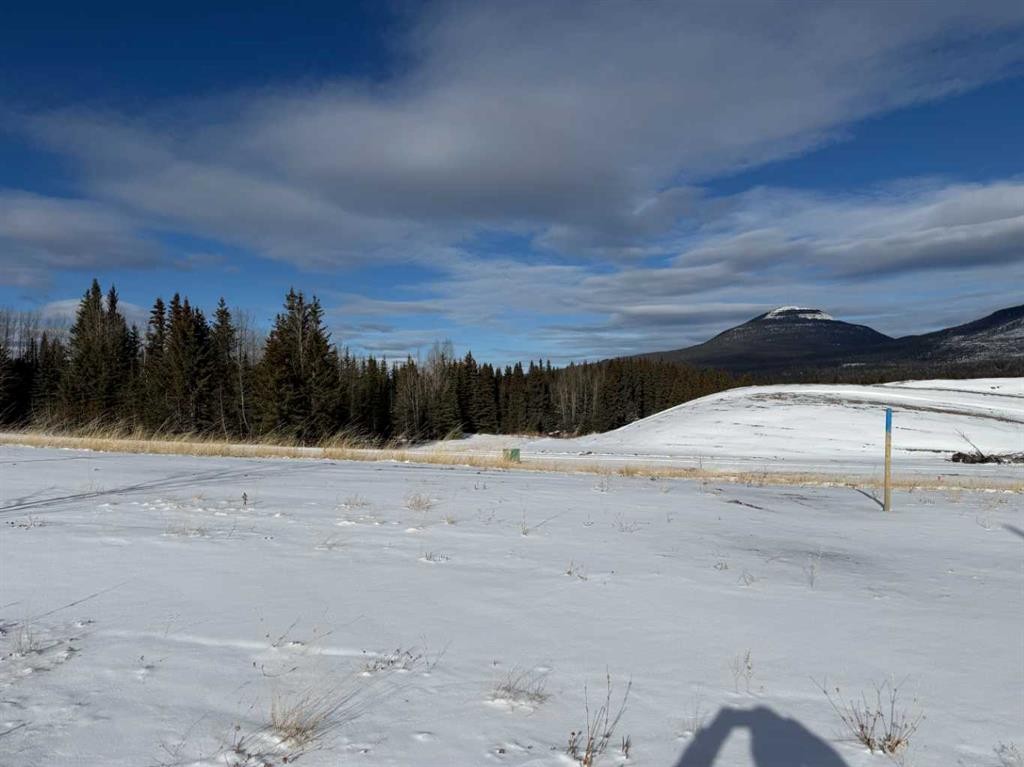 









420


LILY

Avenue,
Nordegg,







AB
T0M 2H0

