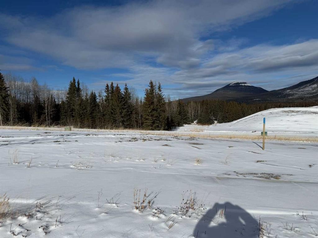 









428


LILY

Avenue,
Nordegg,







AB
T0M 2H0

