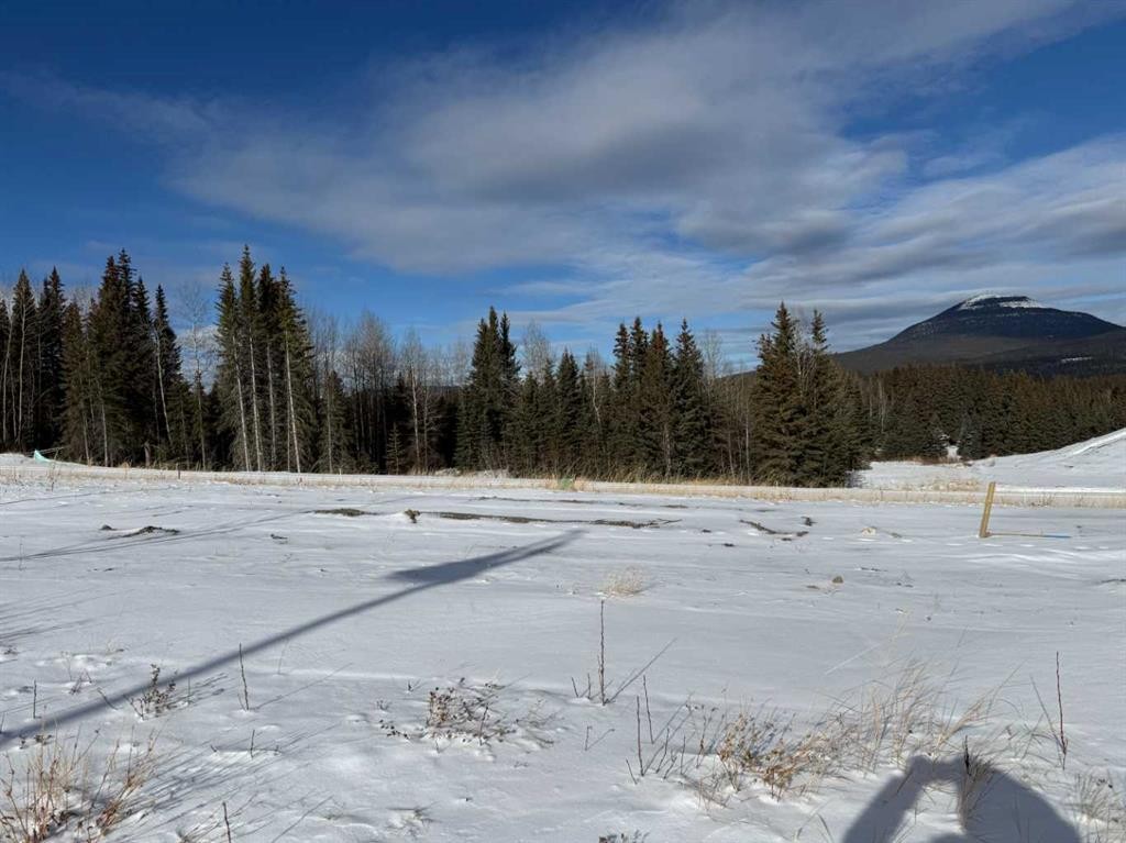 









432


LILY

Avenue,
Nordegg,







AB
T0M 2H0

