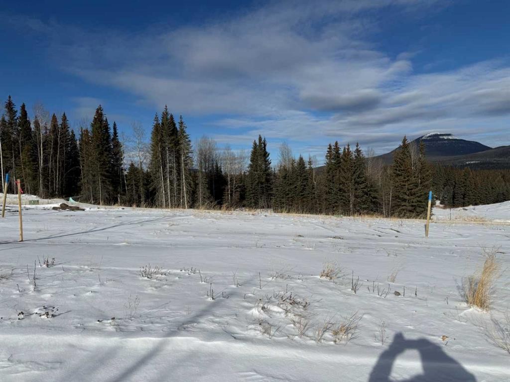 









436


LILY

Avenue,
Nordegg,







AB
T0M 2H0

