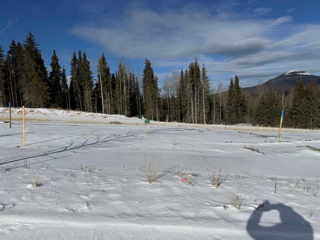 









444


LILY

Avenue,
Nordegg,







AB
T0M 2H0

