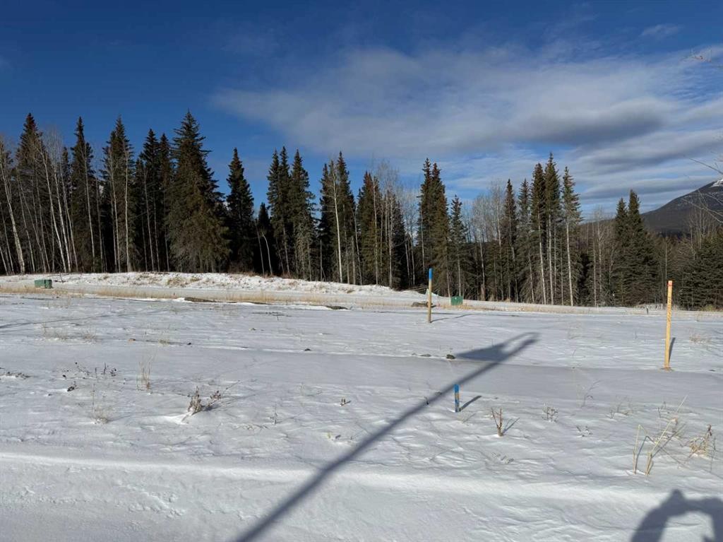 









448


LILY

Avenue,
Nordegg,







AB
T0M 2H0


