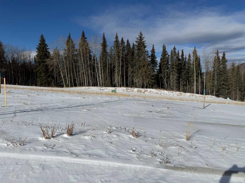 









456


LILY

Avenue,
Nordegg,







AB
T0M 2H0

