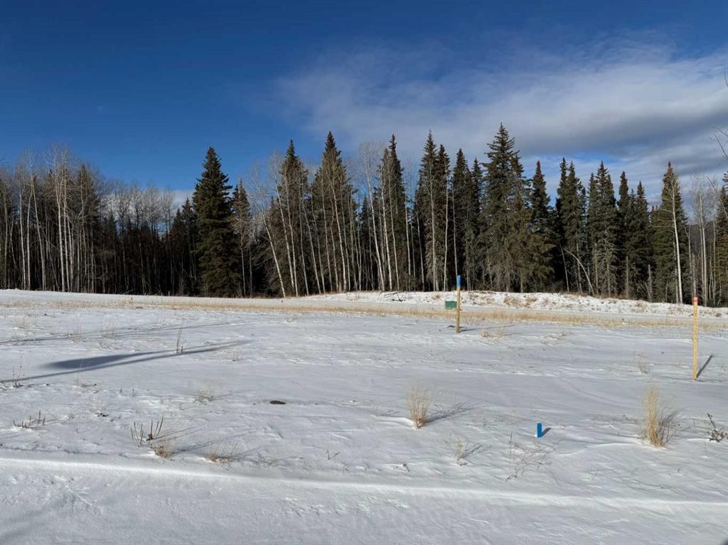 









460


LILY

Avenue,
Nordegg,







AB
T0M 2H0

