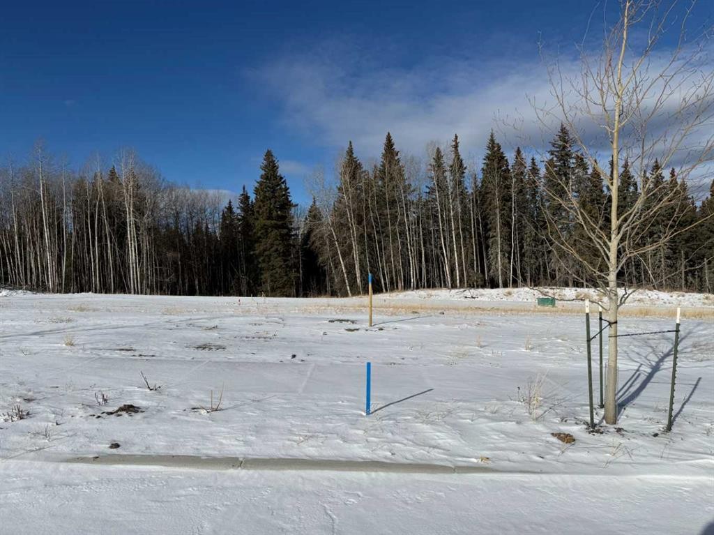 









464


LILY

Avenue,
Nordegg,







AB
T0M 2H0

