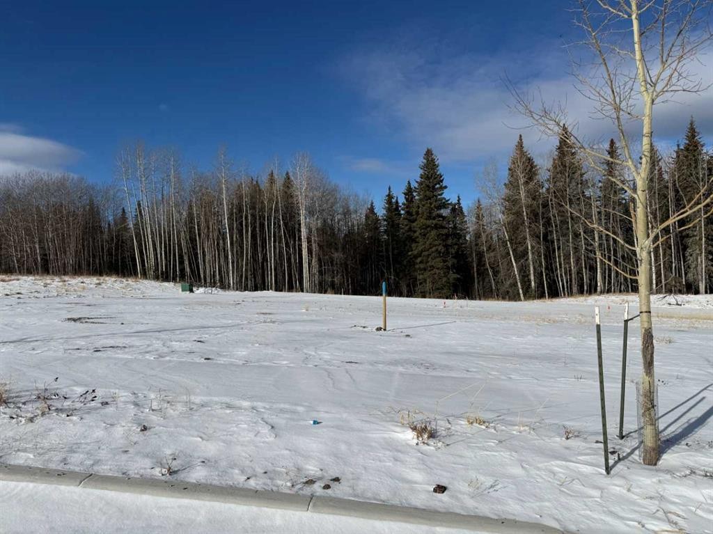 









468


LILY

Avenue,
Nordegg,







AB
T0M 2H0

