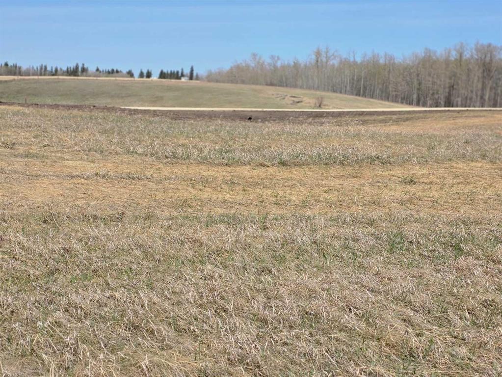 









#6


C&E Trail North of Blackfalds

,
Rural Lacombe County,







AB
T0M 0J0

