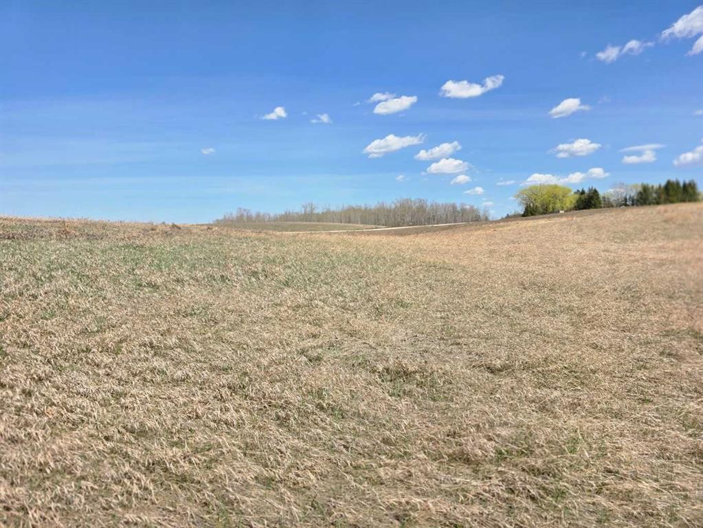 









#7


C&E Trail North of Blackfalds

,
Rural Lacombe County,







AB
T0M 0J0

